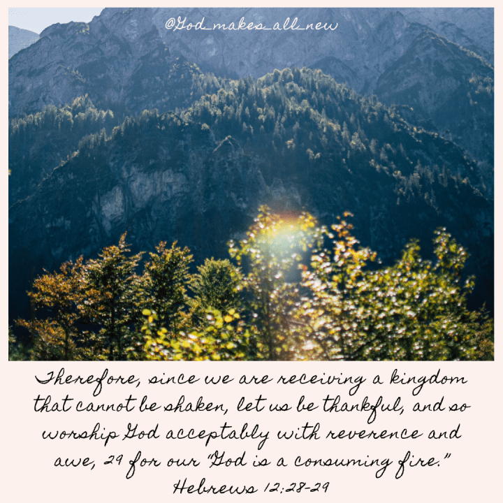 20191117_201059_0000