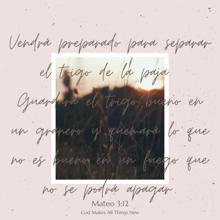 Copy of He is ready to separate the chaff from the wheat with his winnowing fork. Then he will clean up the threshing area, gathering the wheat into his barn but burning the chaff with never-ending fire